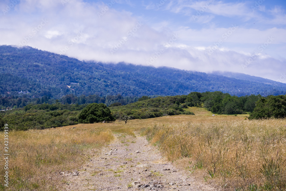 Hiking trail through grasslands, San Francisco bay area, California