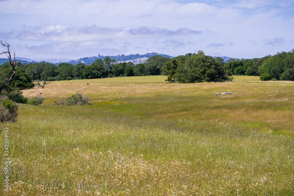 Fototapeta premium Grasslands view, San Francisco bay area, California