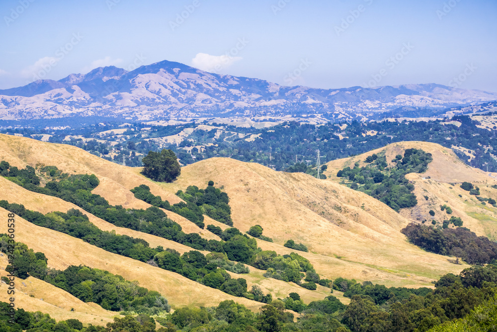 Golden hills in Contra Costa county, mount Diablo in the background, San Francisco bay, California