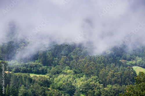 Retreating fog, San Francisco bay area, California