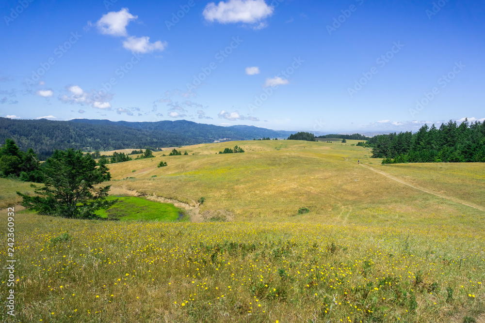 The idyllic hills of north San Francisco bay on a summer day, California