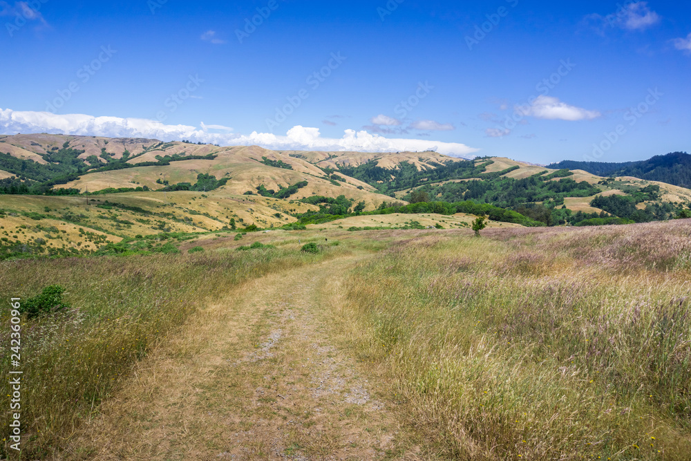Hiking trail on the hills of north San Francisco bay, California