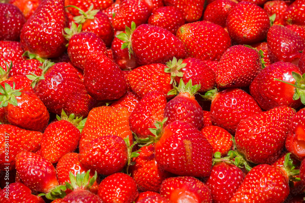 Organic strawberries