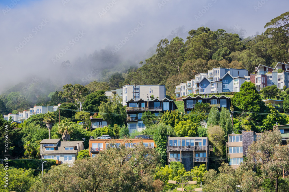 Obraz premium Houses on the hills of Sausalito, north San Francisco bay, California