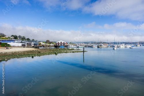 The shoreline of San Francisco bay area in Sausalito, California © Sundry Photography