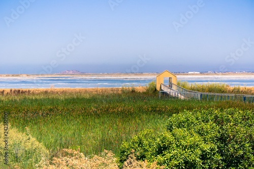 Walkway through the marsh at Alviso Marina County Park, San Jose, California photo