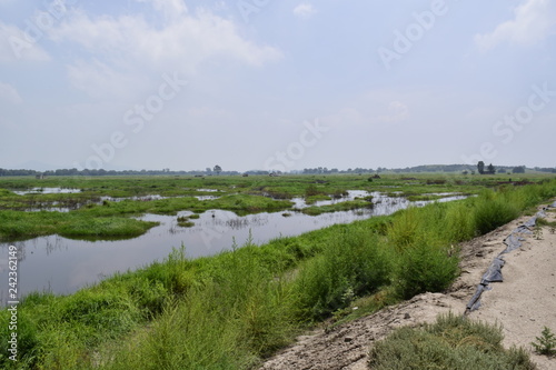 ZONA INUNDABLE, TEXCOCO, LAGO, PASTO SALADO