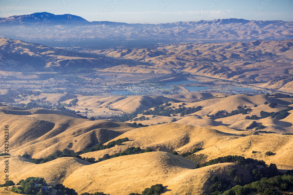 Golden hills in a sunset light; Mt Diablo in the background, east San Francisco bay area, California