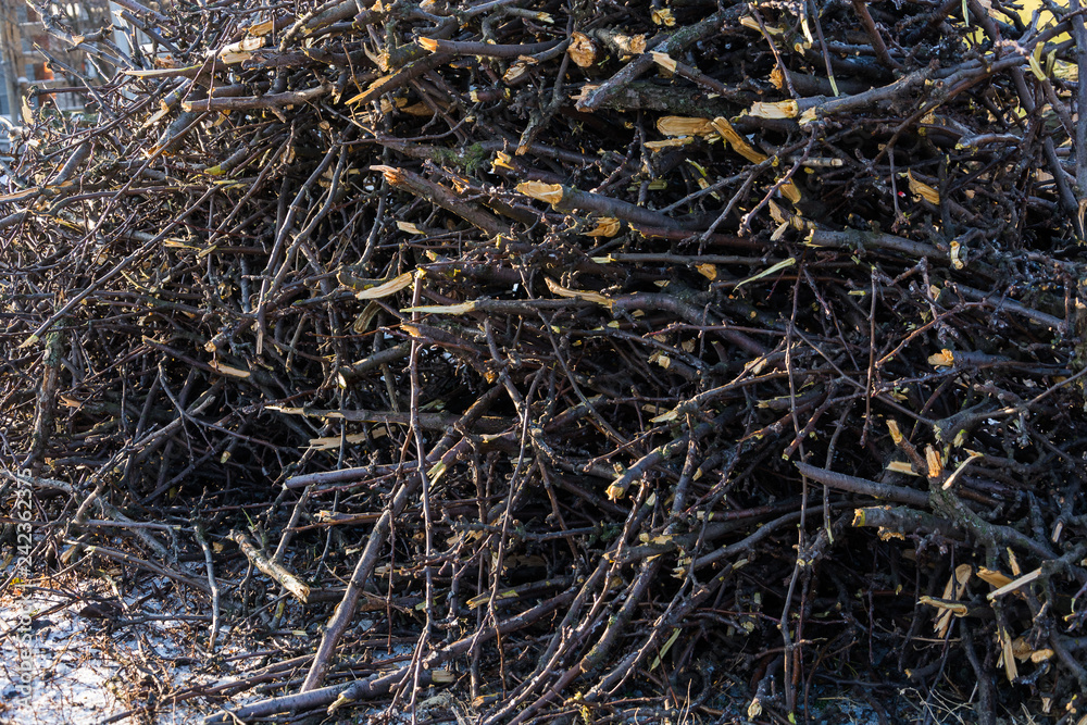 Gardening. Pruning fruit trees in winter. A pile of brushwood, small branches. Gardening. Pruning fruit trees in winter. A pile of brushwood, small branches.
