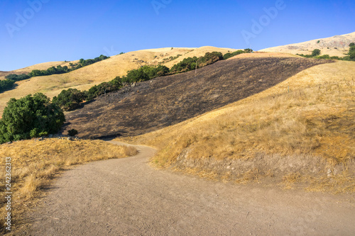 Burned grass area on the golden hills of Mission Peak preserve  south San Francisco bay  California