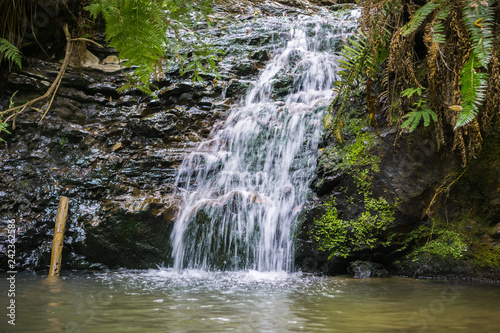 Tiptoe waterfall in Portola Redwoods State Park, California photo
