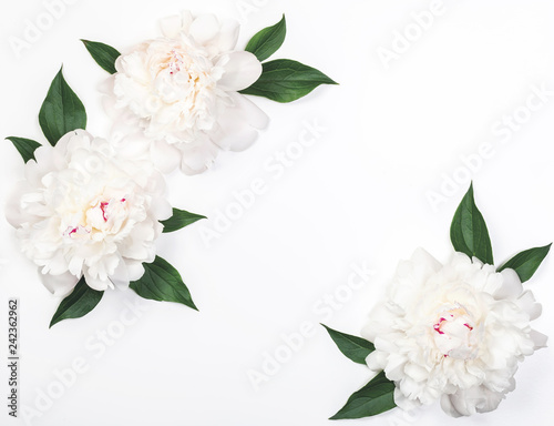 Fototapeta Naklejka Na Ścianę i Meble -  Frame of three white peony flowers and leaves on white background. Top view with copy space. Flat lay.