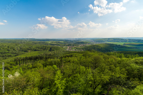 Top view of the area green forest and blue sky with clouds.