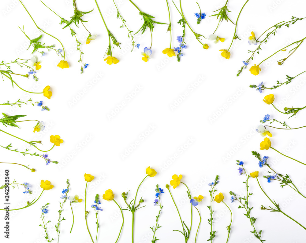 Floral frame made of yellow buttercups flowers and pansies isolated on white background. Top view with copy space. Flat lay.