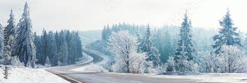 Winter landscape, Winter Forest,  Winter road and trees covered with snow, Germany © Dmitry Pistrov