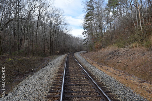 Norfolk Southern Railway (formerly Memphis and Charleston Railroad) in Big Hill Pond State Park Tennessee © fredlyfish4