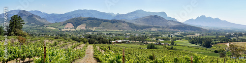 Cape Winelands - Franschhoek Valley