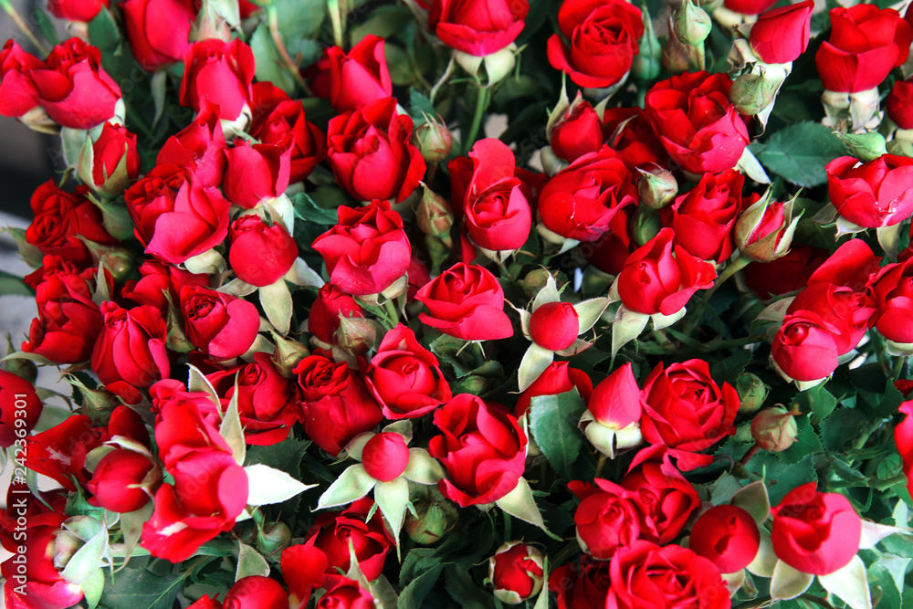 background of red roses background of red roses