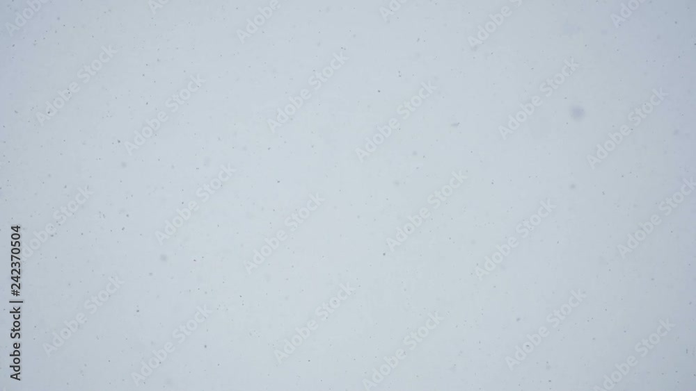 Snow against the snow-white sky