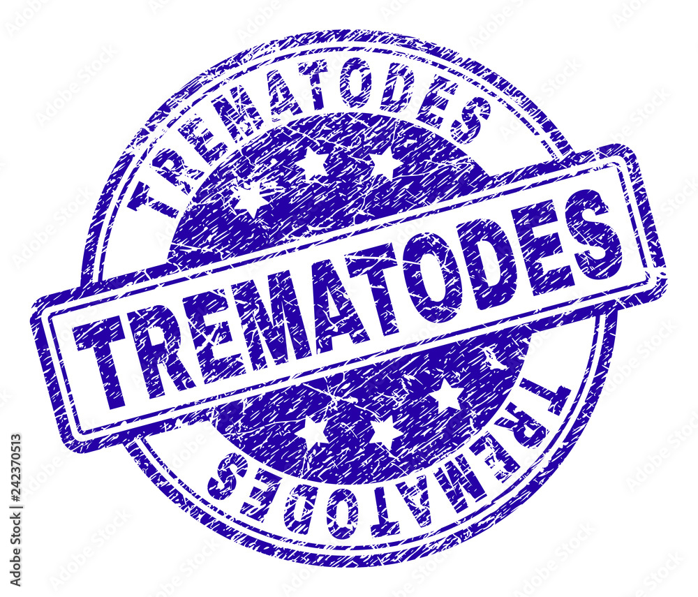 TREMATODES stamp seal watermark with grunge texture. Designed with rounded rectangles and circles. Blue vector rubber print of TREMATODES title with grunge texture.