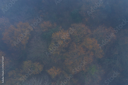 Fog in autumn, Atlantic forest, Landscape in Matienzo, Ruesga Municipality, Cantabria, Spain, Europe photo