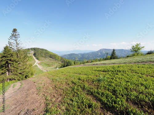 Peaceful view of Klimczok mount in Silesian Beskids Mountains range landscape near european Bielsko-Biala city  Poland