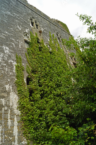 Dromore Castle photo