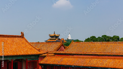 Traditional Chinese red wall and yellow roof tiles in Forbidden City  with the White Pagoda of Beihai Park  in Beijing  China