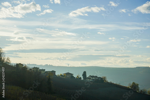 Views near Monforte d Alba  Piedmont - Italy