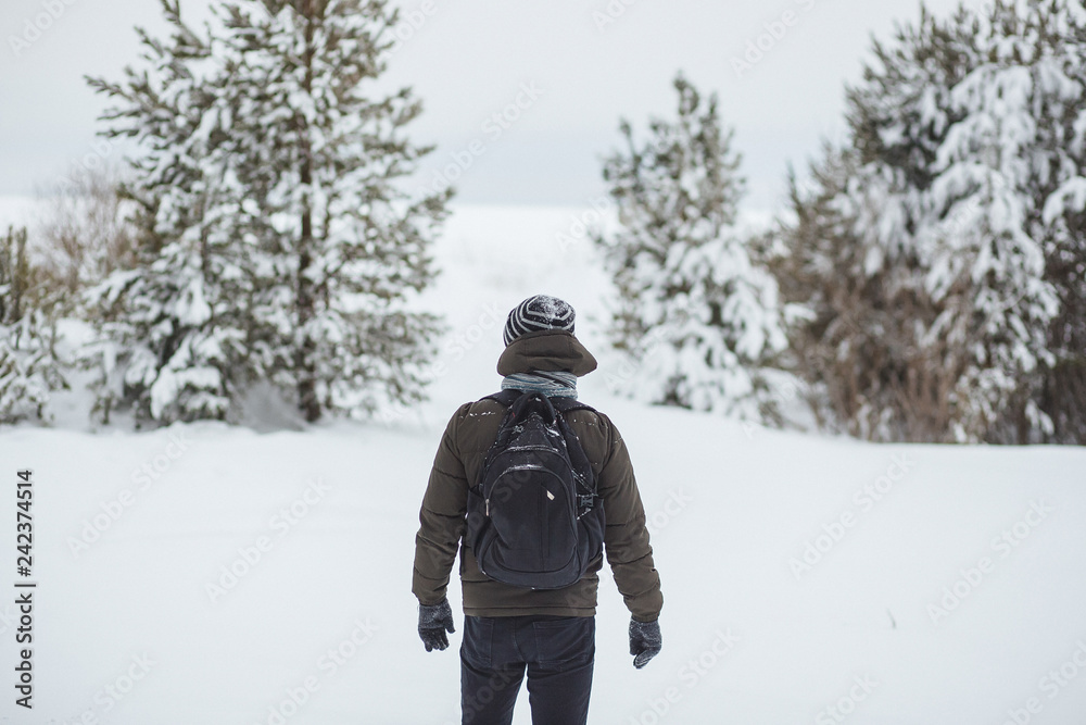 Back view of man hiker with backpack looking to frozen sea and to trees covered snow