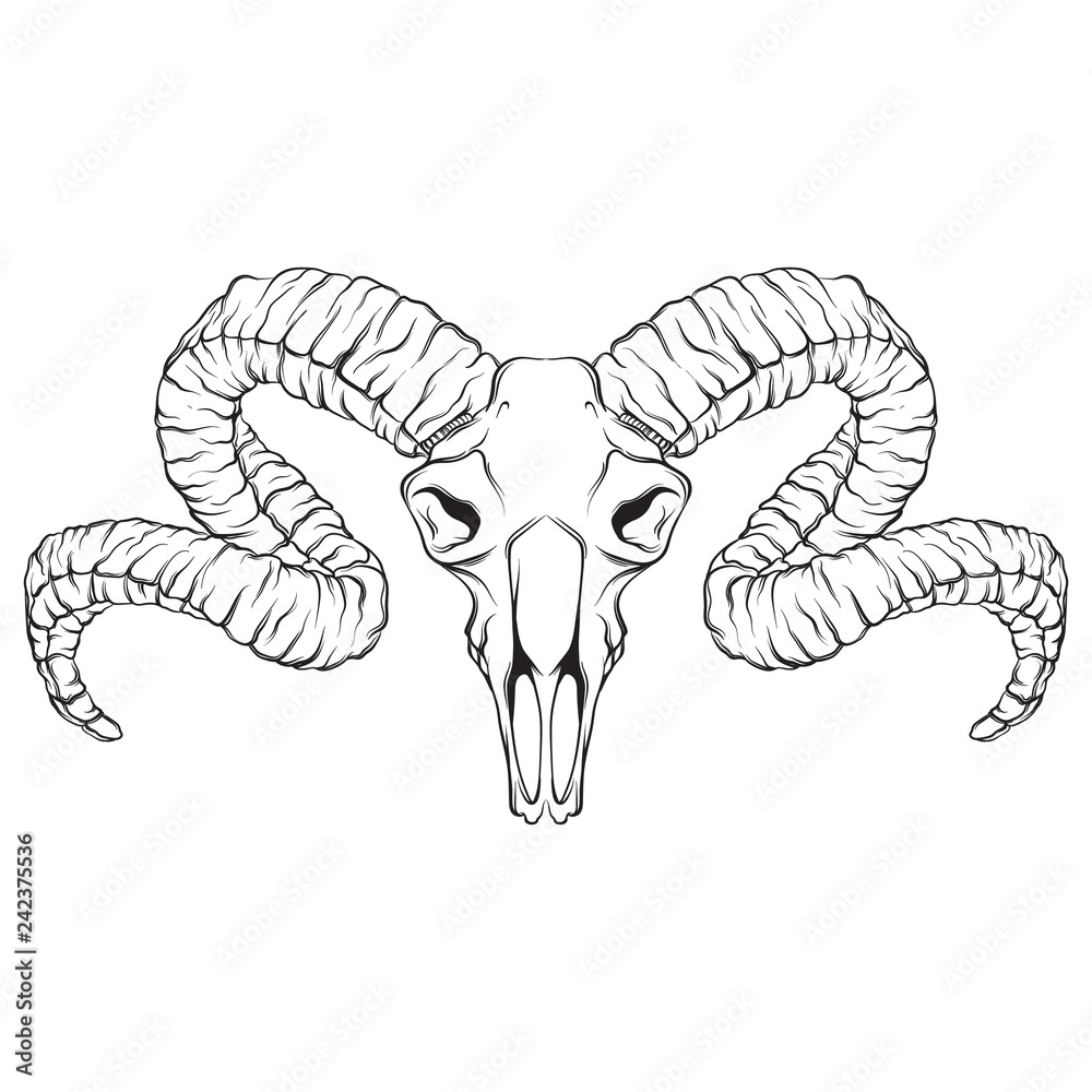 Gothic Macabre Ammon Cultic Tribal Tooled Tattoo Scrimshaw Ram Skull  Figurine - Walmart.com