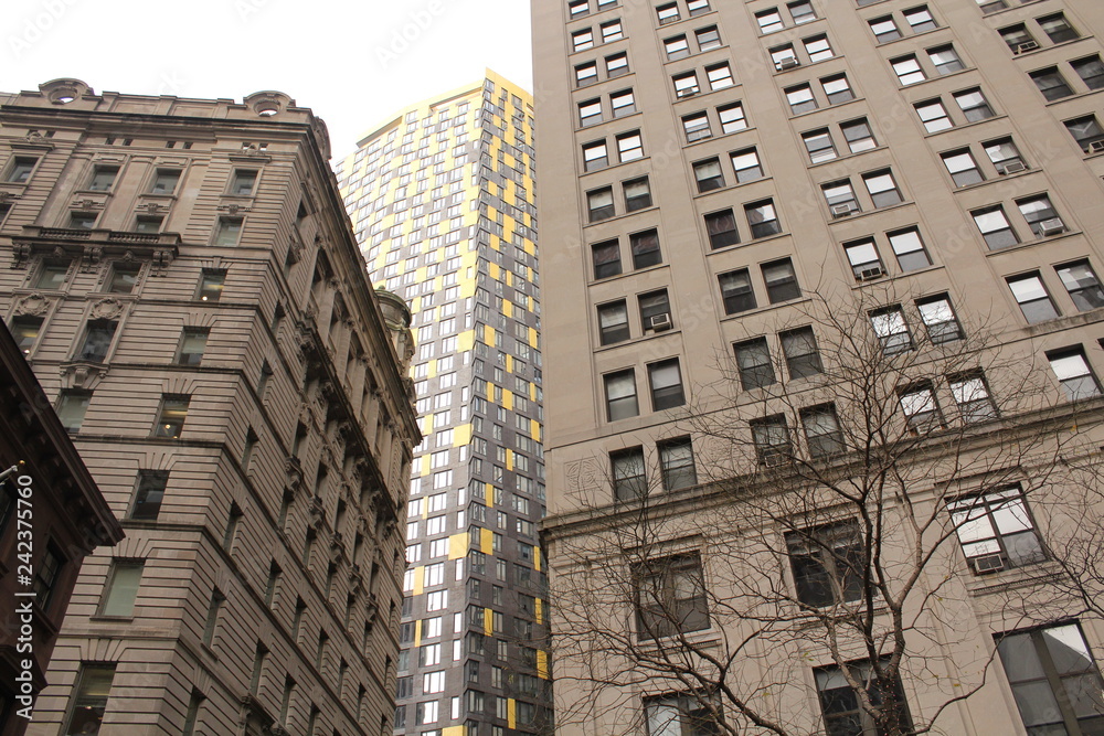 Fototapeta premium America, New York, Wall Street, Times Square