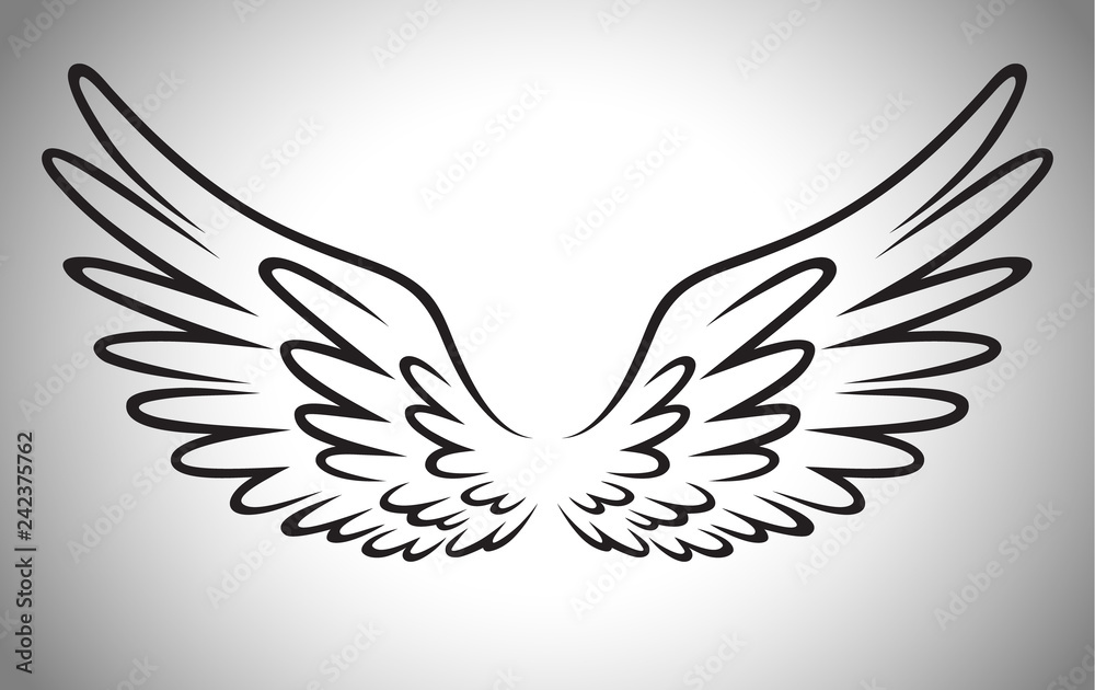 Cartoon bird wings line art illustration for logo Stock Vector Adobe