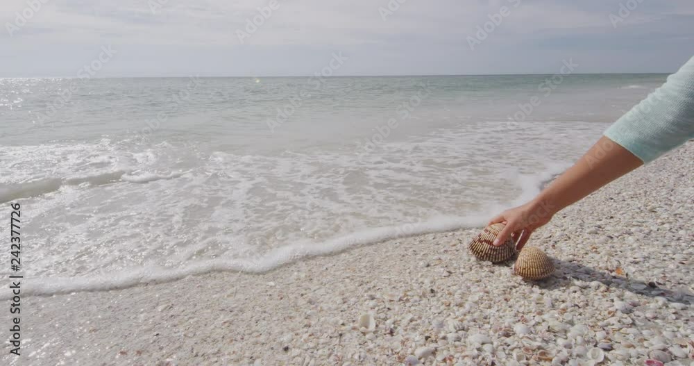 Seashells on beach - woman shelling picking up sea shells on Sanibel ...