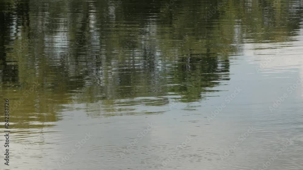 River water surface. Close up River water surface. Close up
