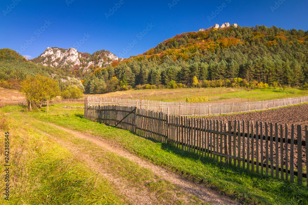 Obraz premium Colorful rural landscape in autumn, The Sulov Rocks National Nature Reserve, Slovakia, Europe.