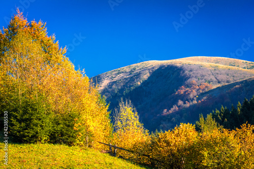 Autumn landscape in The Mala Fatra national park, Slovakia, Europe.