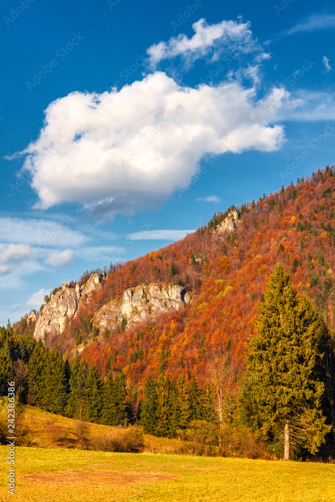 Autumn landscape in The Mala Fatra national park, Slovakia, Europe. Autumn landscape in The Mala Fatra national park, Slovakia, Europe.