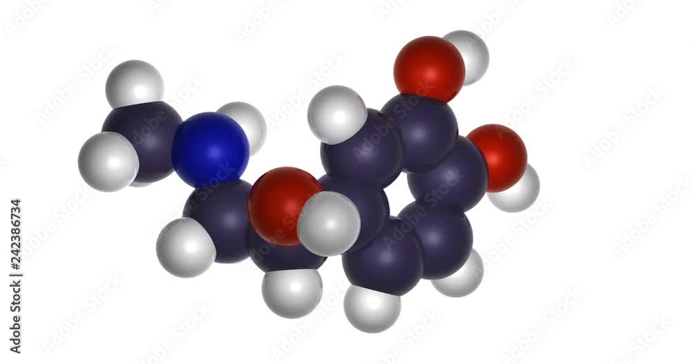 3d chemical structure of adrenaline molecule, epinephrine - neurotransmitter, catecholamine and adrenal gland hormone, rendered as footage with transparent background (alpha channel), spinning. 3d chemical structure of adrenaline molecule, epinephrine - neurotransmitter, catecholamine and adrenal gland hormone, rendered as footage with transparent background (alpha channel), spinning.