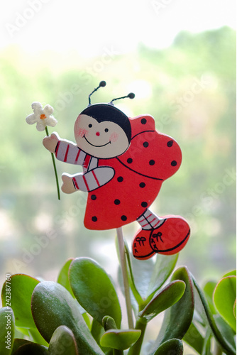 Decoration for flowers. Ladybug