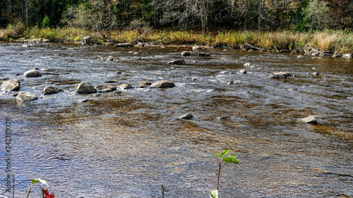 Running Stream Through Rocks and Stones photo