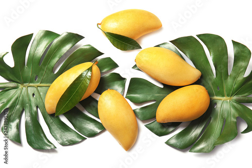 Composition with fresh mango fruits on white background, top view