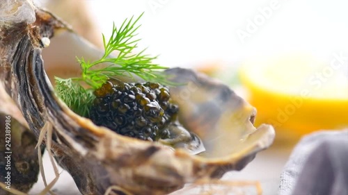 Fresh oysters with black caviar. Opened oysters with black sturgeon caviar. Gourmet food. Delicatessen. Slow motion 4K UHD video footage. 3840X2160
