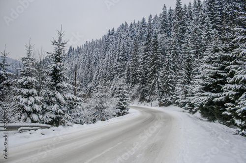 Winter snowy road and forest. Snowy trees. Wallpaper