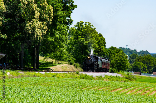 Steam Passenger Train Pulling into Picnic Area photo