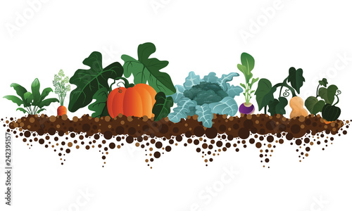 Fall Harvest Garden Illustration