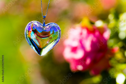 heart crystal glass  refract sunlight - rose garden background