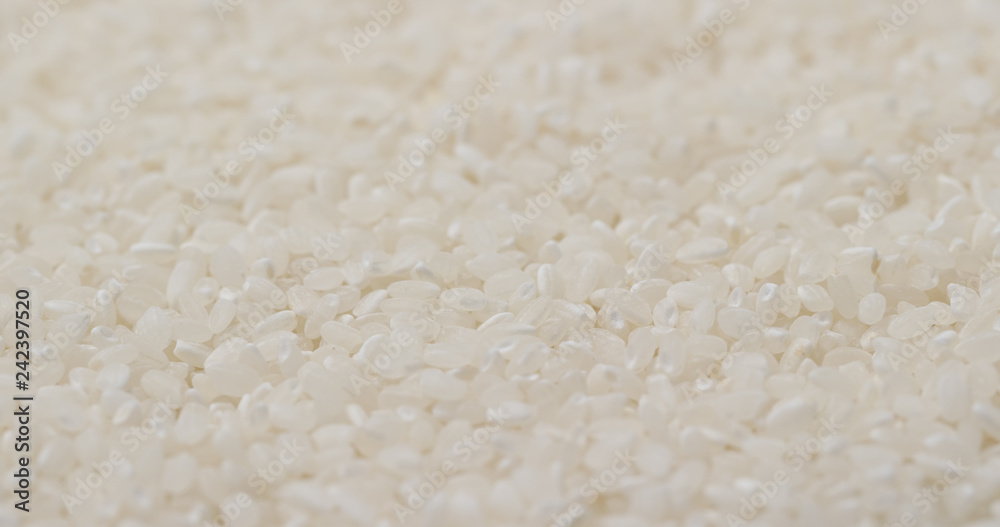White uncooked rice White uncooked rice