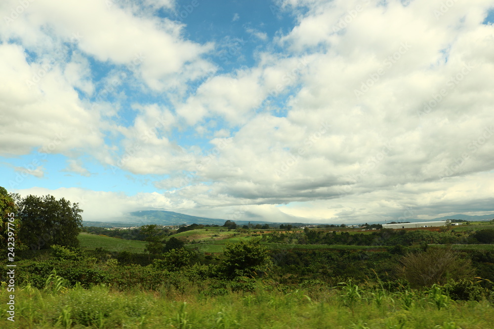 Obraz premium Landscape