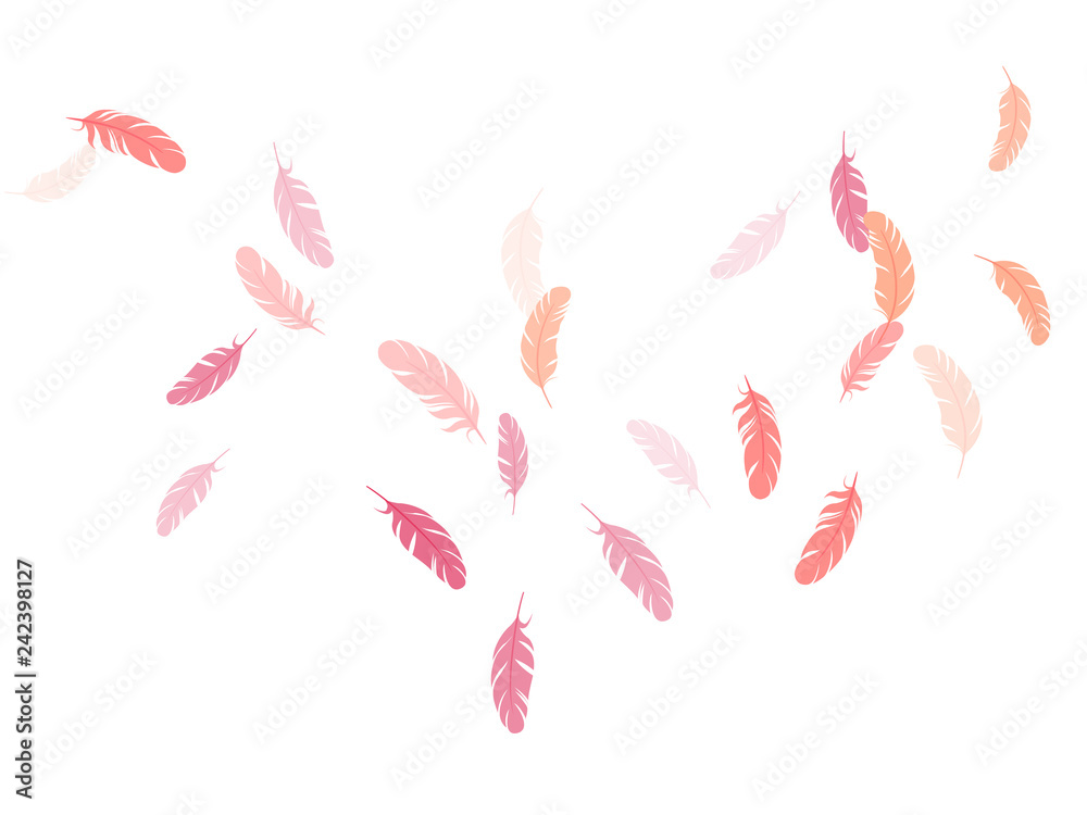 Falling feather elements soft vector design. Falling feather elements soft vector design.